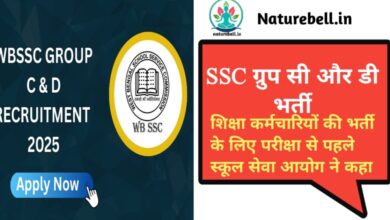 Additional Marks for Experience in SSC Group C and D Recruitment(एसएससी ग्रुप सी और डी भर्ती में अनुभव के लिए अतिरिक्त अंक)