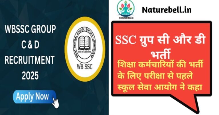 Additional Marks for Experience in SSC Group C and D Recruitment(एसएससी ग्रुप सी और डी भर्ती में अनुभव के लिए अतिरिक्त अंक)